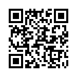 T38043-17-0 QRCode