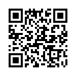 T38045-13-0 QRCode