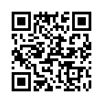 T38045-16-0 QRCode