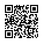 T38048-07-0 QRCode