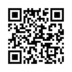 T38048-10-0 QRCode