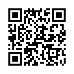 T38048-13-0 QRCode