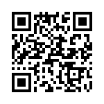 T38051-02-0 QRCode