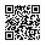 T38051-17-0 QRCode