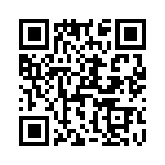 T38053-01-0 QRCode
