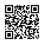 T38053-07-0 QRCode