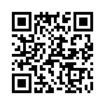 T38053-13-0 QRCode