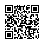 T38058-01-0 QRCode