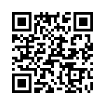 T38058-10-0 QRCode