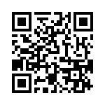 T38058-13-0 QRCode