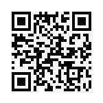 T38058-22-0 QRCode