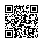 T38060-05-0 QRCode