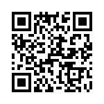 T38061-11-0 QRCode