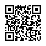 T38061-13-0 QRCode