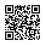 T38062-04-0 QRCode