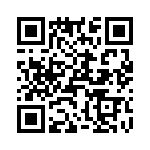 T38062-07-0 QRCode