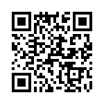 T38063-01-0 QRCode