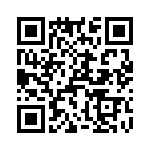 T38063-10-0 QRCode