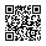 T38063-13-0 QRCode