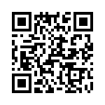 T38065-11-0 QRCode