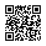 T38065-17-0 QRCode
