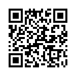 T38067-07-0 QRCode