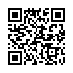 T38067-16-0 QRCode