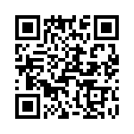 T38068-01-0 QRCode