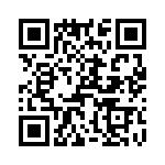 T38068-10-0 QRCode