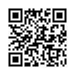 T38068-13-0 QRCode