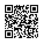 T38068-20-0 QRCode