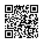 T38068-23-0 QRCode