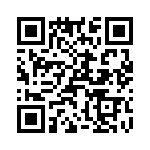 T38070-02-0 QRCode