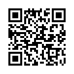 T38070-03-0 QRCode