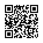 T38070-08-0 QRCode