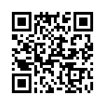 T38070-10-0 QRCode