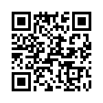 T38070-12-0 QRCode