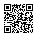 T38070-13-0 QRCode