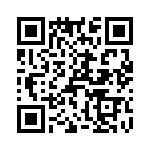 T38071-11-0 QRCode