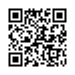 T38071-12-0 QRCode