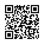 T38071-23-0 QRCode