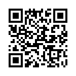 T38072-02-0 QRCode