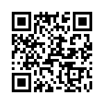 T38072-13-0 QRCode