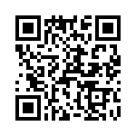 T38073-13-0 QRCode