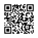 T38073-17-0 QRCode