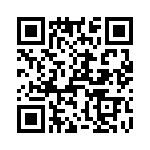 T38077-13-0 QRCode