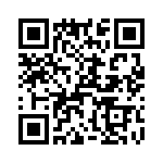 T38078-12-0 QRCode