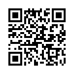 T38100-04-0 QRCode