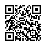T38101-04-0 QRCode