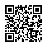 T38101-09-0 QRCode